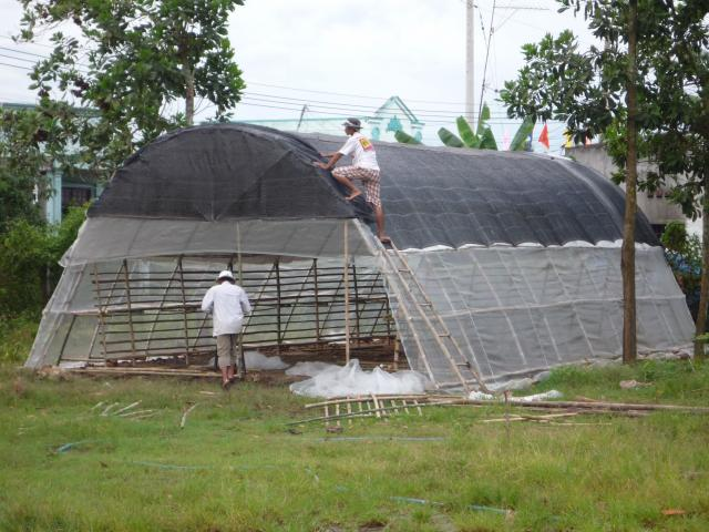 he thong phun suong cho nam linh chi